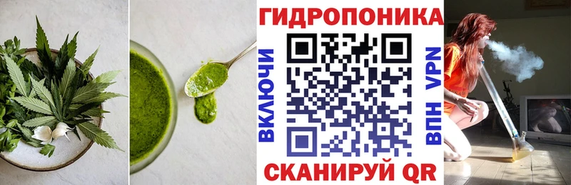 Еда ТГК конопля  Купить закладки  Темников 