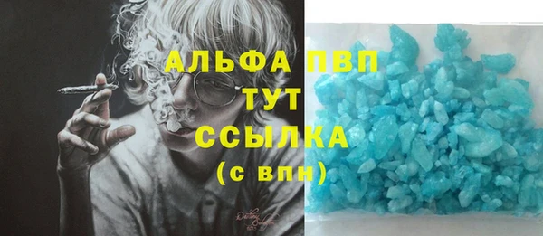 ПСИЛОЦИБИНОВЫЕ ГРИБЫ Горняк
