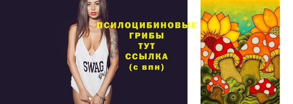 ПСИЛОЦИБИНОВЫЕ ГРИБЫ Горнозаводск