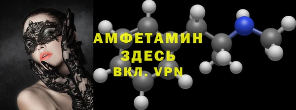 ПСИЛОЦИБИНОВЫЕ ГРИБЫ Горняк