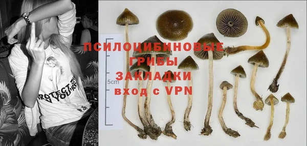 ПСИЛОЦИБИНОВЫЕ ГРИБЫ Горнозаводск