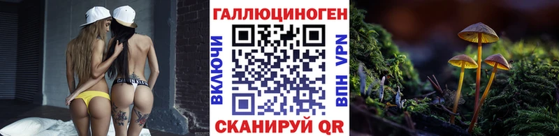 Купить где  Темников  Галлюциногенные грибы Psilocybe 